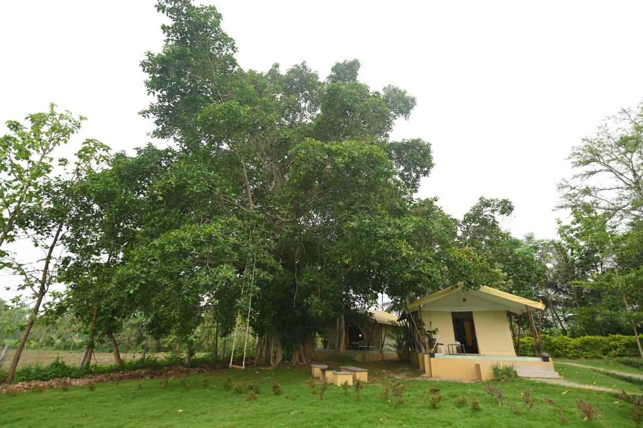 Hotel Fireflies Kabini Begūr Zewnętrze zdjęcie